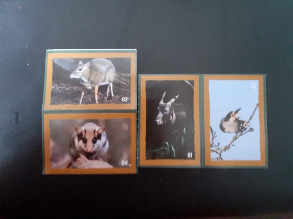 Artis dierenstickers: Laatste 4 nummers (81,82, 83+ 84), Verzamelen, Dekamarkt, Ophalen of Verzenden