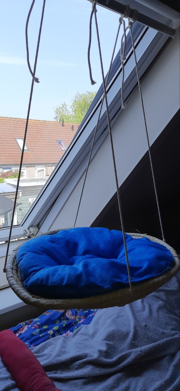 Kattenschommel, Ophalen of Verzenden