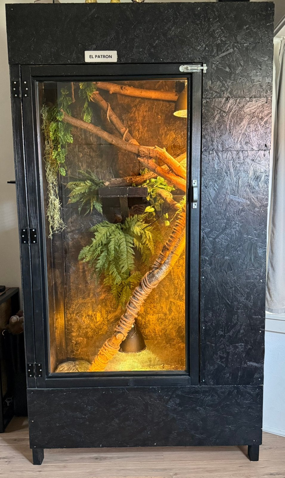 Groot terrarium, Ophalen, Zo goed als nieuw