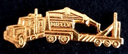 Mielly pin- goudkleurig, Verzenden, Nieuw, Transport, Speldje of Pin