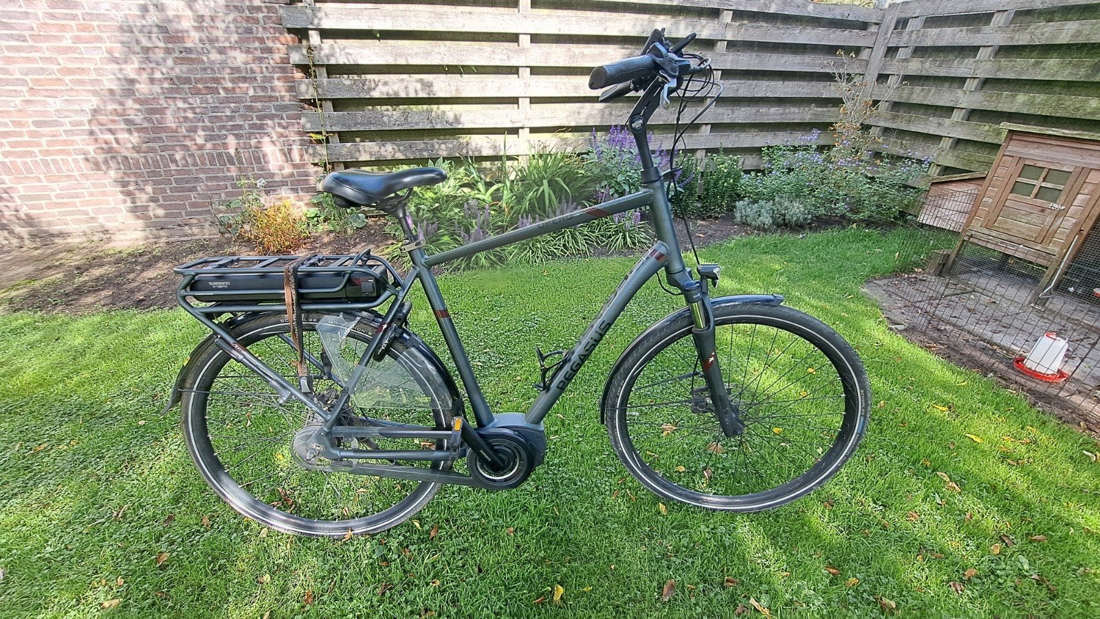 Pegasus Opero 50th Anniversary Edition E-bike, Gebruikt, 59 cm of meer, 50 km per accu of meer, Ophalen