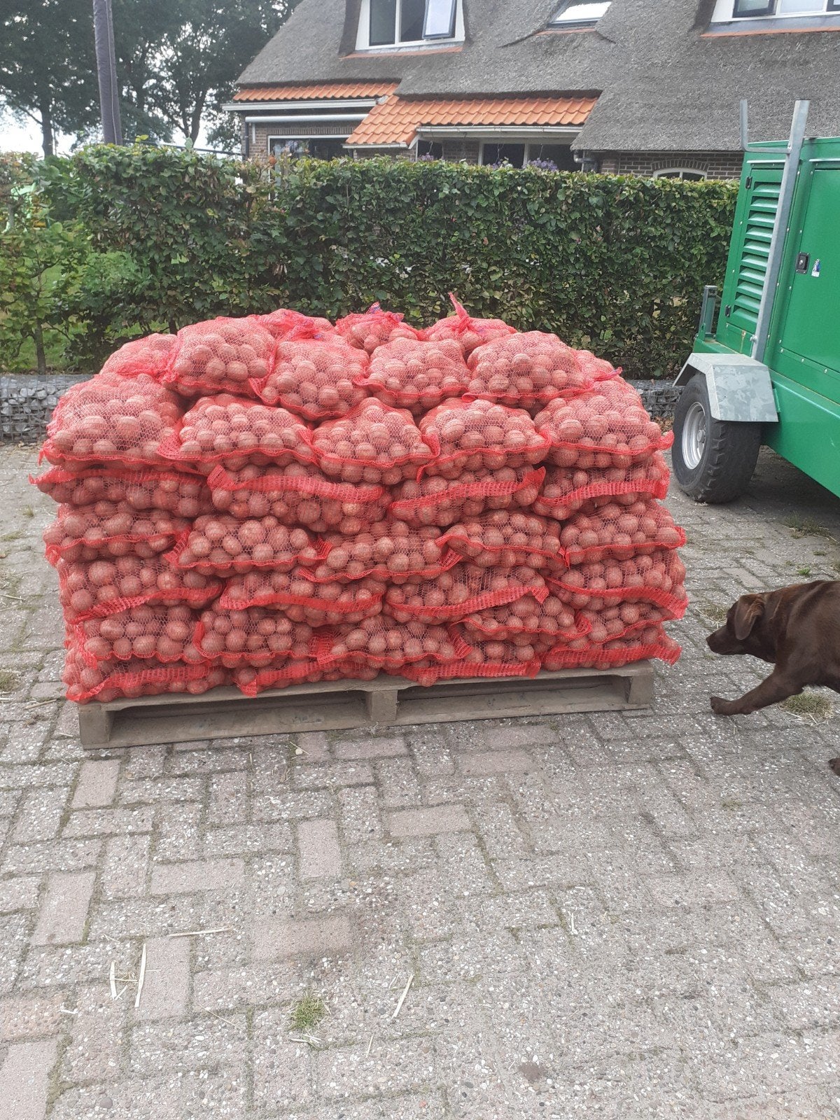 bildstar eet aardappels, Ophalen of Verzenden