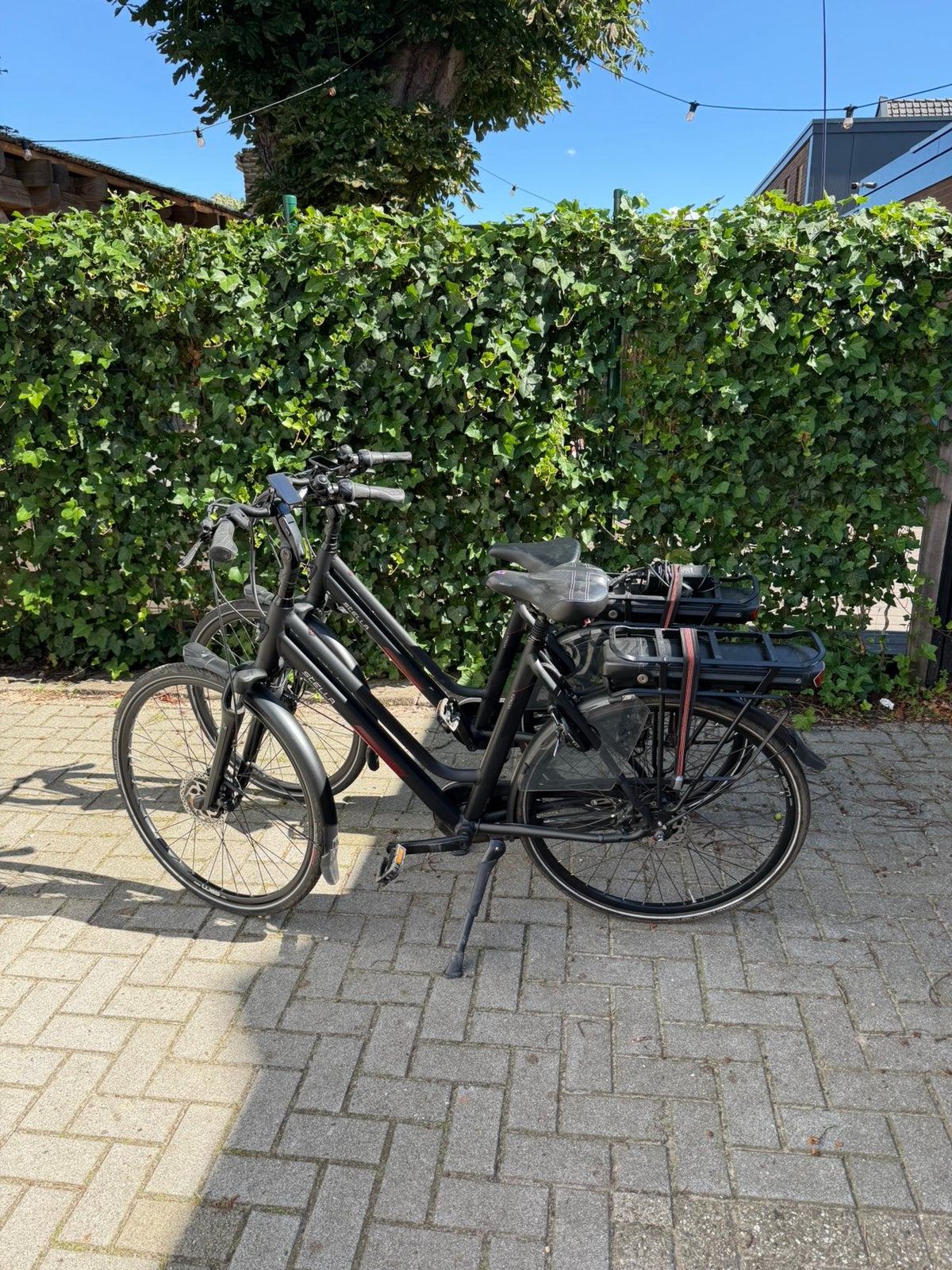 Elektrische fietsen set stella vicenza +extra accu, 51 tot 55 cm, Ophalen of Verzenden, Zo goed als nieuw, Overige merken