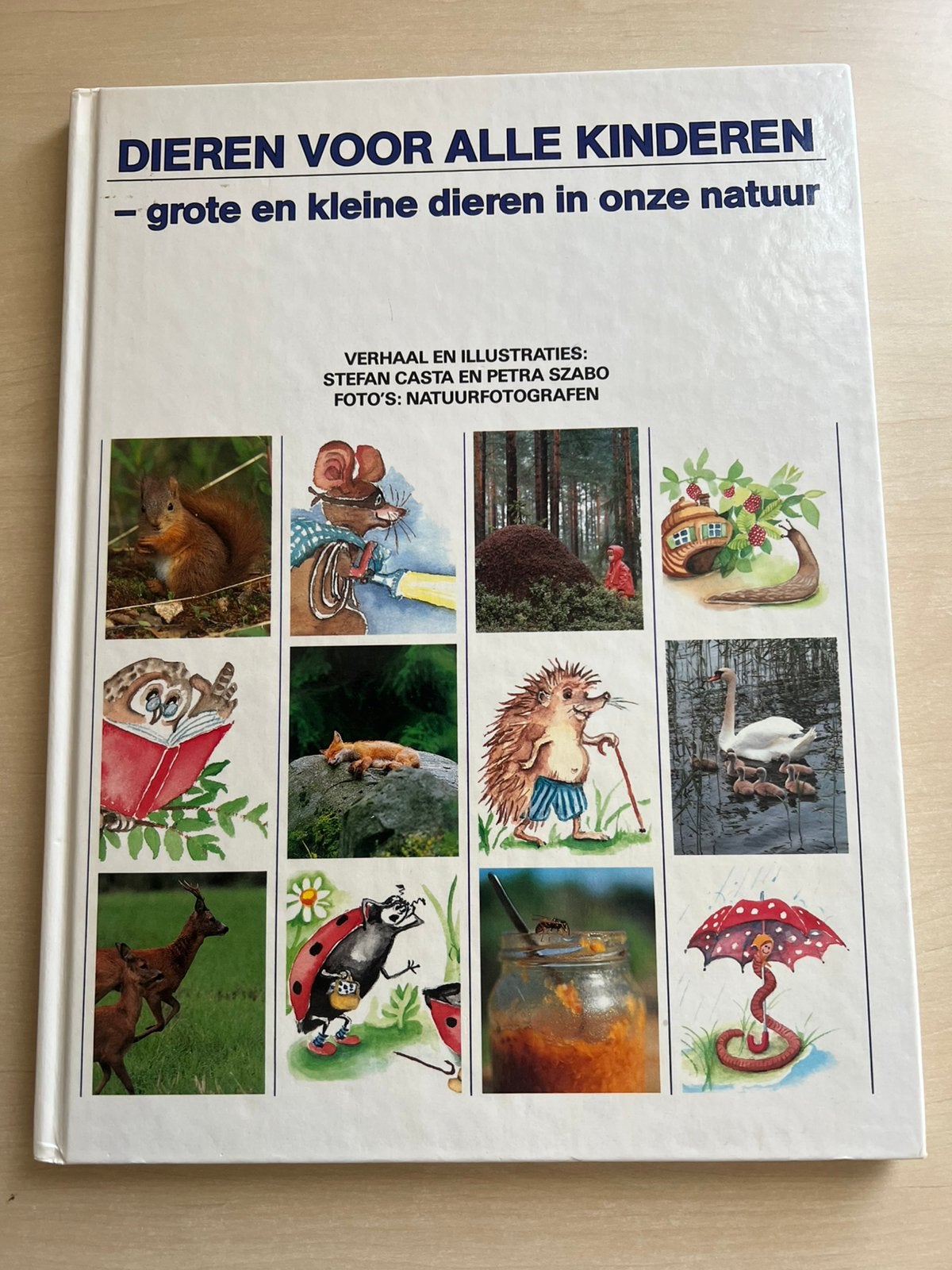 Dieren voor alle kinderen door Stefan Casta, Ophalen of Verzenden, Zo goed als nieuw, Non-fictie
