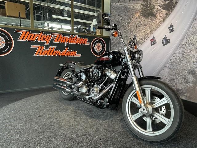 Harley-Davidson FXST SOFTAIL STANDARD (bj 2023), Bedrijf, Overig, Sales@harleydavidsonrotterdam.nl, Harley-Davidson Benelux B.V.
