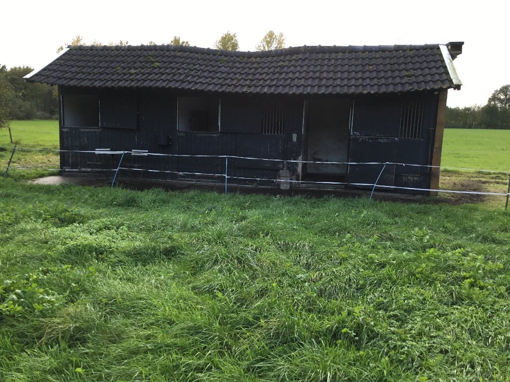 Stalling met weidegang, Dieren en Toebehoren, Stalling