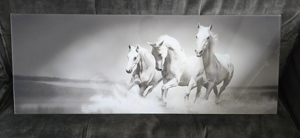 Prachtige Zwart-Wit Glasschilderij van Galopperende Paarden, Huis en Inrichting, Woonaccessoires | Schilderijen, Tekeningen en Foto's