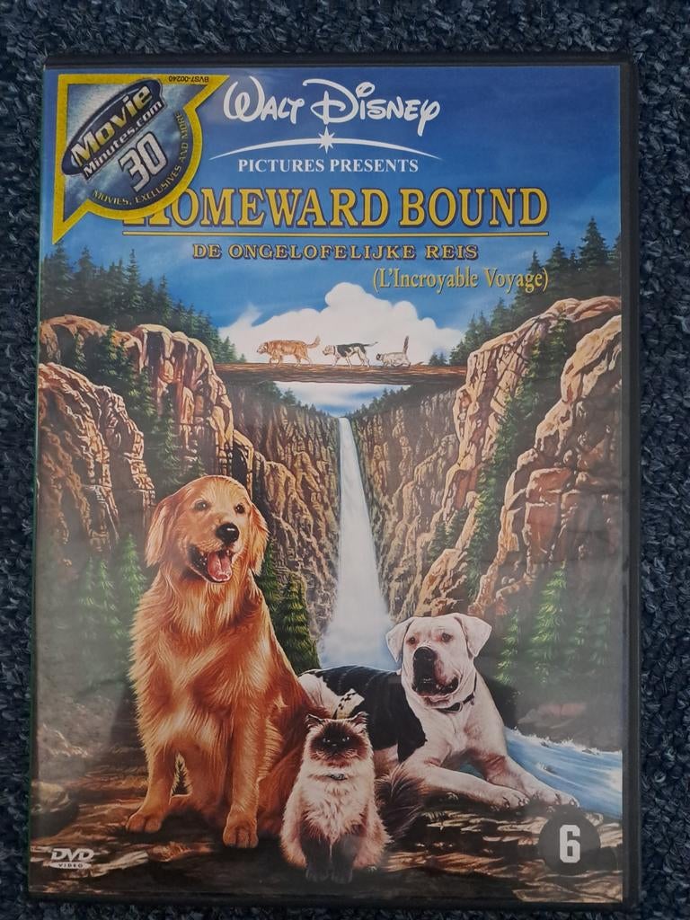 Homeward bound (dvd), Alle leeftijden, Ophalen of Verzenden, Zo goed als nieuw