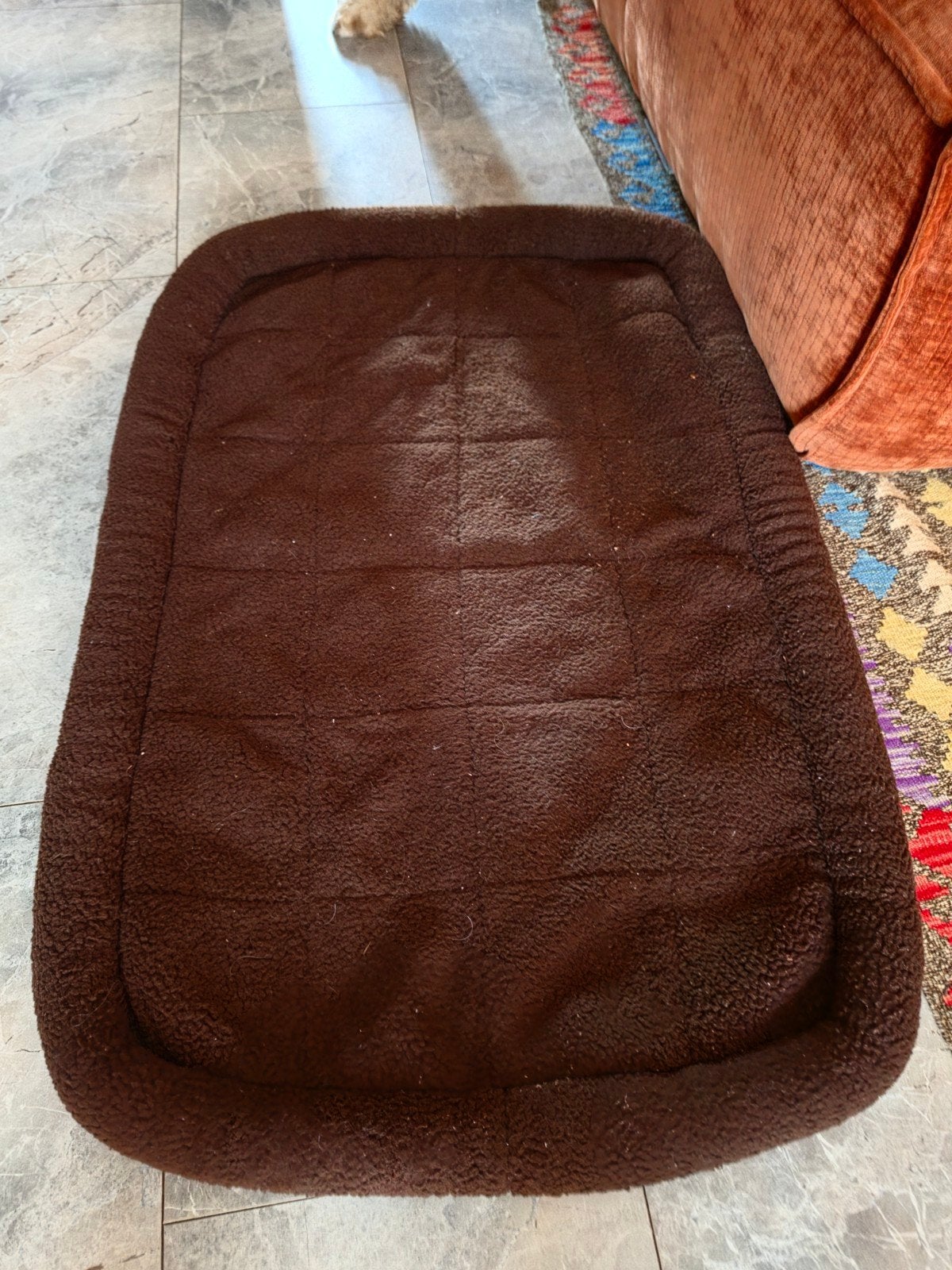 bench kleed, Dieren en Toebehoren, Honden-accessoires, Ophalen, Zo goed als nieuw