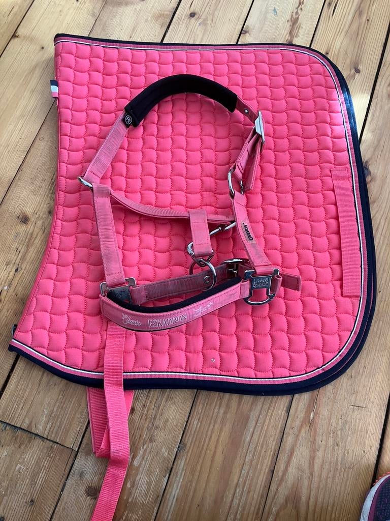 Eskardon halster en dekje pony roze, Dieren en Toebehoren, Katoen, Dressuurdekje, Ophalen of Verzenden, Zo goed als nieuw