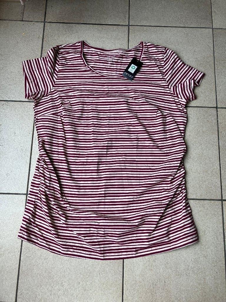 Nieuw gestreept zwangerschap T shirt - maat XL ( 48/50), Kleding | Dames, Ophalen of Verzenden, Nieuw, Maat 46/48 (XL) of groter