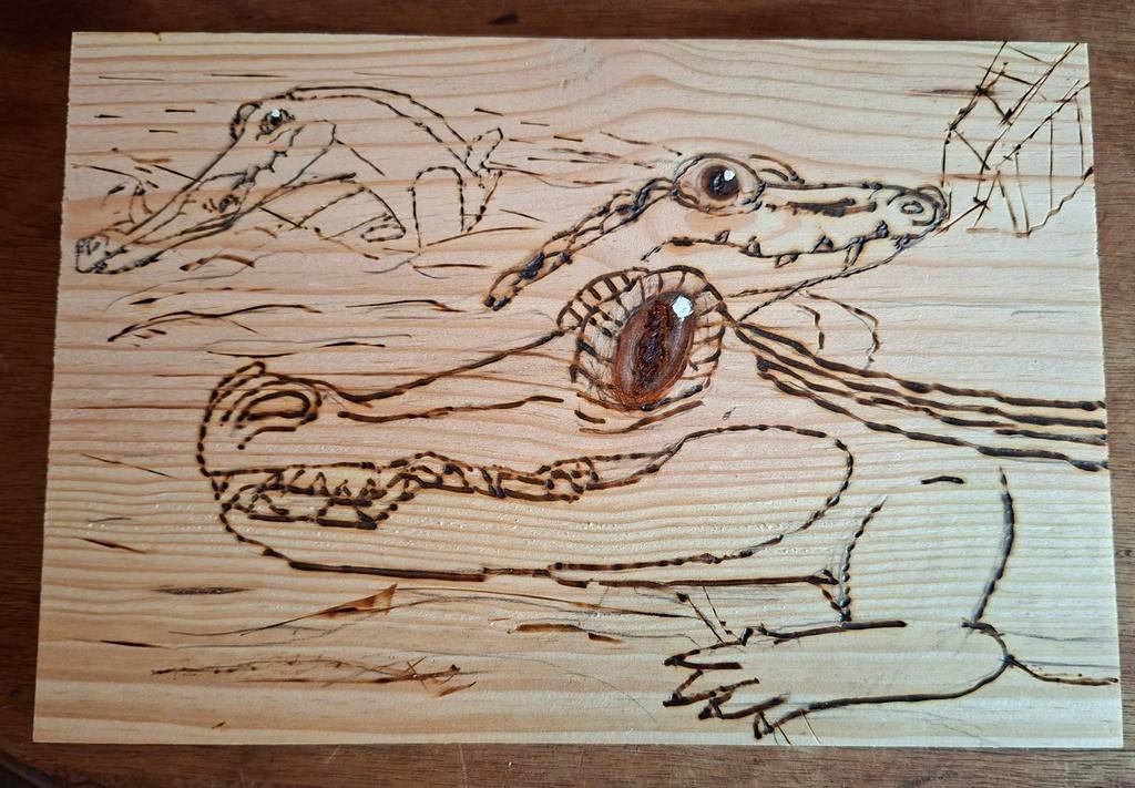 Hout gebrand krokodillen jesart, Ophalen of Verzenden, Nieuw
