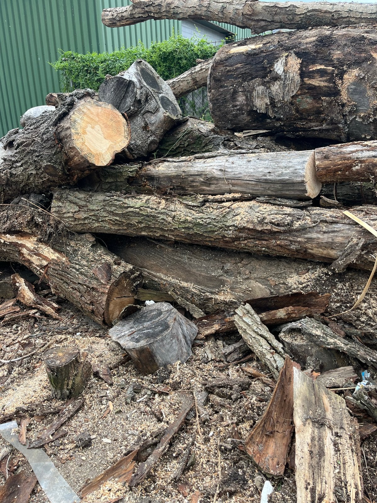 Grote partij boomstammen - Ideaal voor brandhout of decorati, 6 m³ of meer, Ophalen, Overige houtsoorten, Stammen