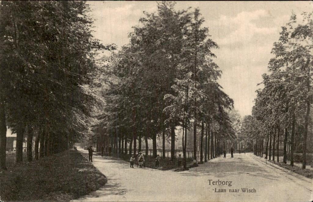 Terborg - Laan - naar Wisch, Ophalen of Verzenden, Voor 1920, Gelopen, Gelderland