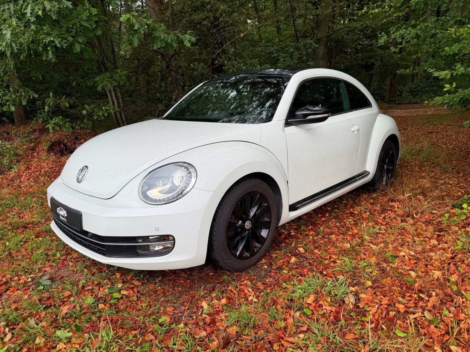 VW Beetle 1.4 TSI Sport, Pano, Leer, Xenon, Inruil mogelijk, Voorwielaandrijving, 15 km/l, 4 cilinders, Wit