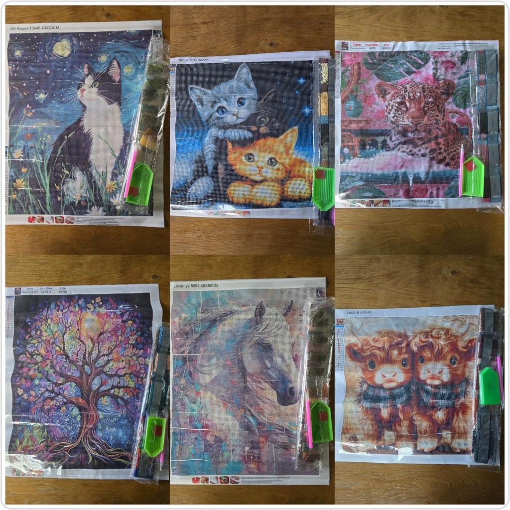 Diamond Painting Kits - Diverse Maten en Afbeeldingen, Ophalen of Verzenden