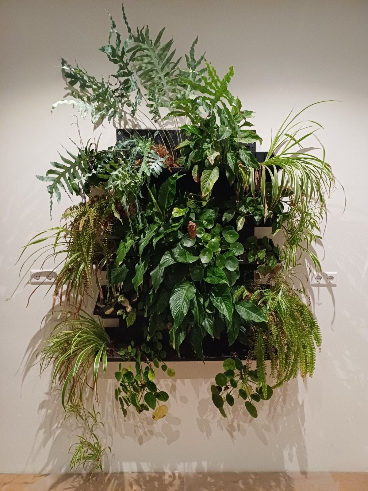 Verticaal Tuinsysteem - Plantenbakken voor Groene Wand, Tuin en Terras, Ophalen, Kunststof, Gebruikt, Binnen
