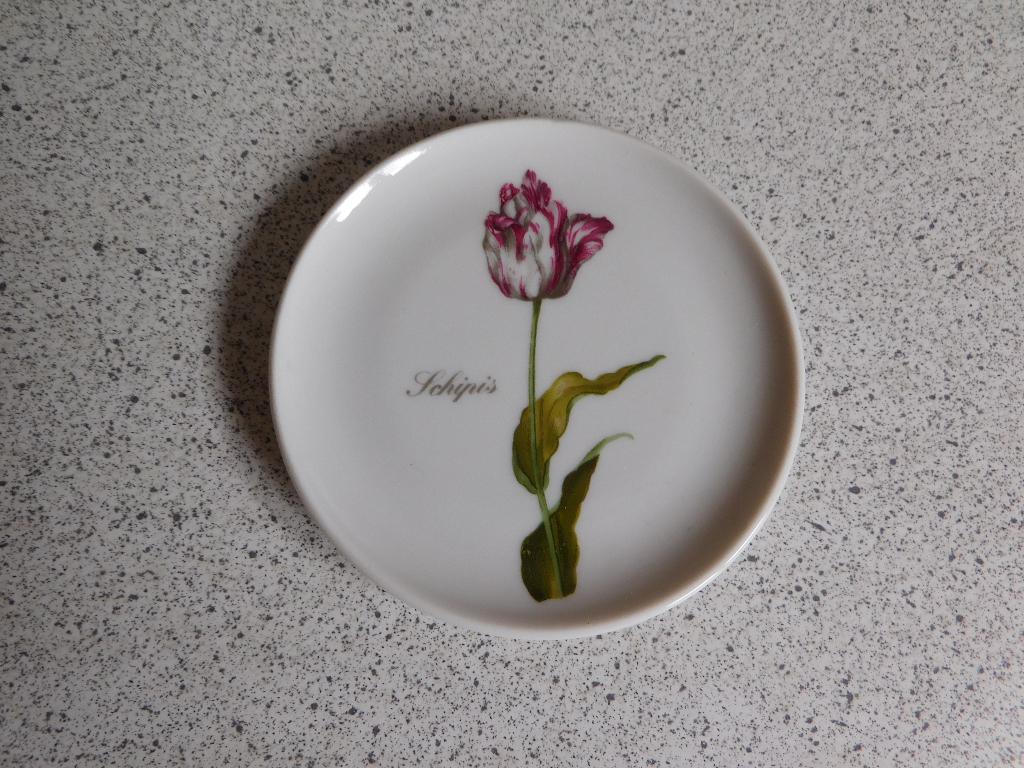 Bord 10 cm. Schipis Holland Gallery de Munt Amsterdam, Overige merken, Ophalen of Verzenden, Zo goed als nieuw, Bord(en)