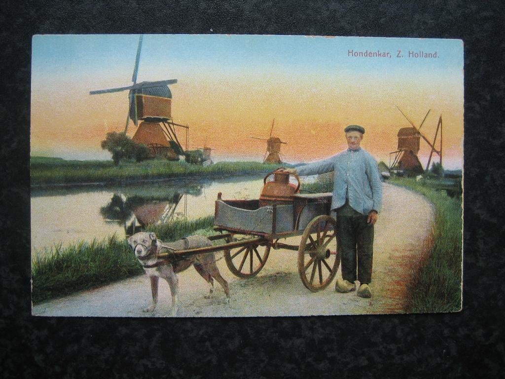 OVERSCHIE Boer met Hondenkar, Verzamelen, Ophalen of Verzenden, Voor 1920, Zuid-Holland