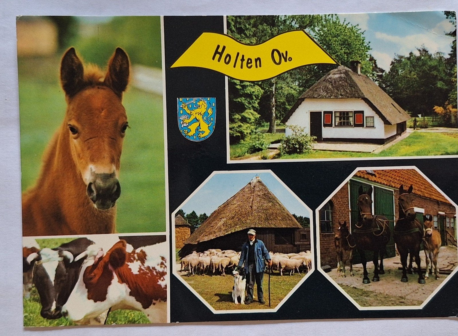 Ansichtkaart Holten (Ov.) - Bos Dierenwereld, Ophalen of Verzenden