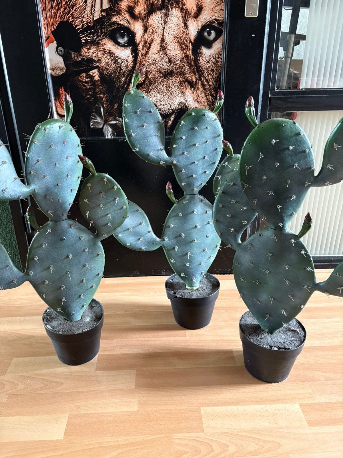 Set van 3 realistische vijg cactussen/schijfcactussen, Huis en Inrichting, Woonaccessoires | Kunstplanten en Kunstbloemen, Ophalen of Verzenden