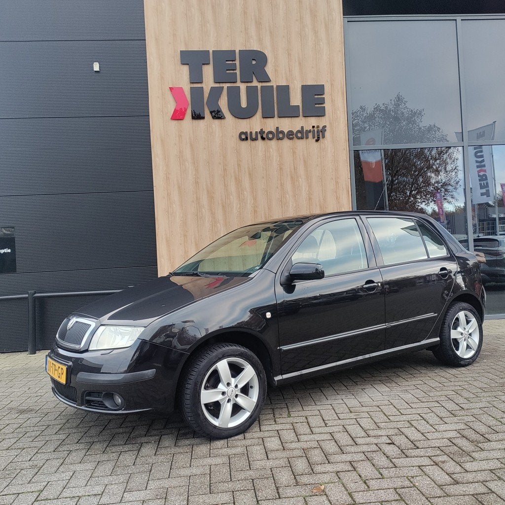 Skoda FABIA 1.4-16V 5DRS NW-Driem., Auto's, Skoda, Bedrijf, Fabia, ABS, Airbags, Airconditioning, Boordcomputer, Centrale vergrendeling