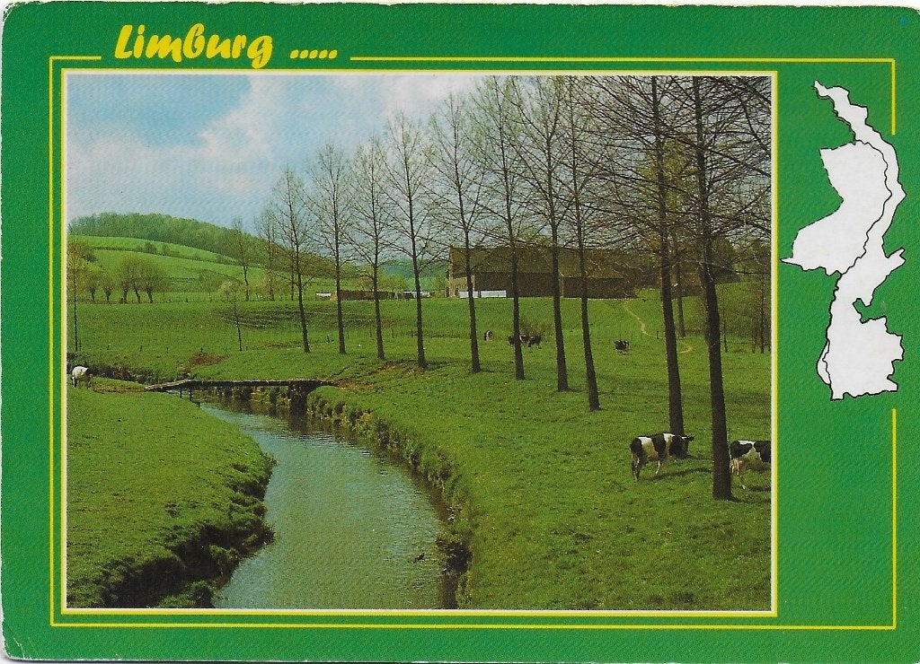 Limburg gelopen ansichtkaart ( b5262 ), Ophalen of Verzenden, 1980 tot heden, Gelopen, Limburg