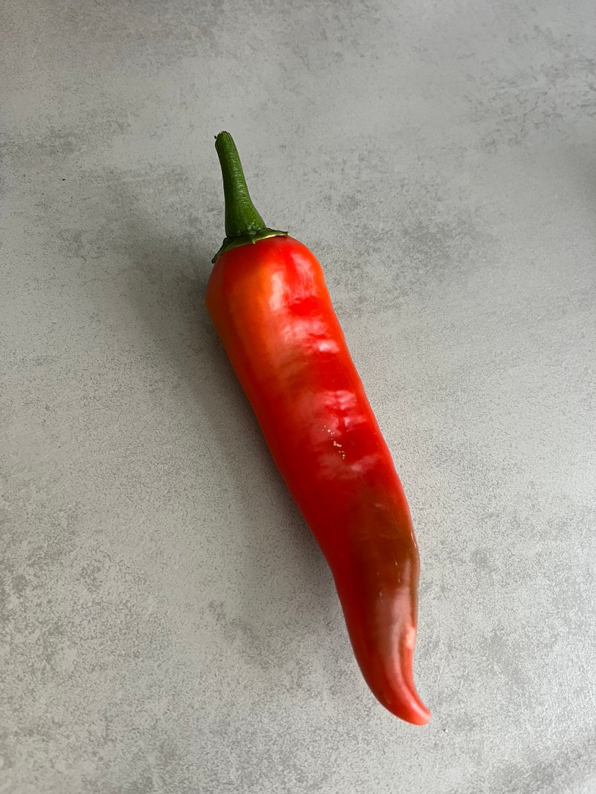 Paprika Zaden, Ophalen of Verzenden, Volle zon, Zaad