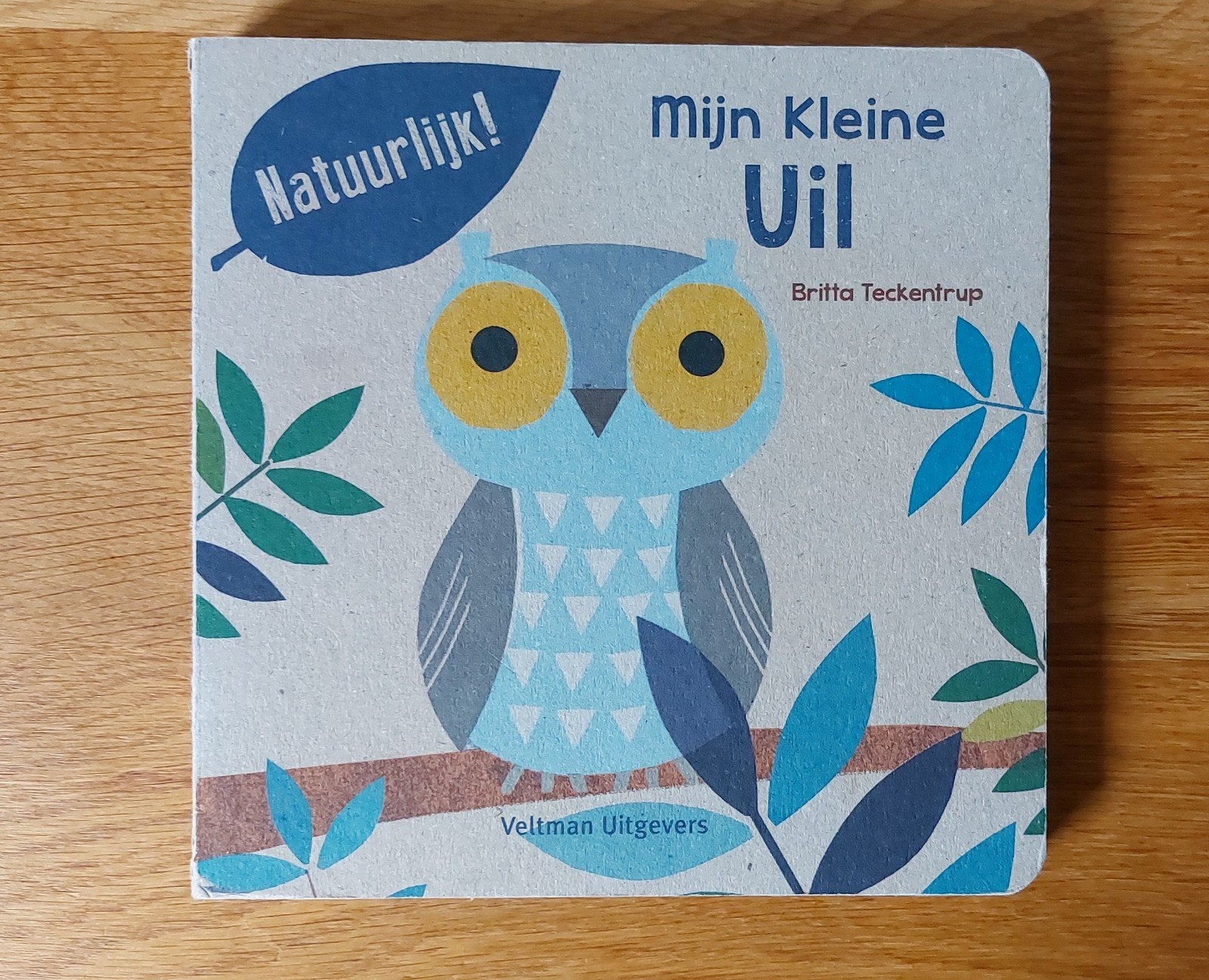 Britta Teckentrup - Mijn kleine uil, kartonnen boekje, Ophalen of Verzenden, Zo goed als nieuw, Britta Teckentrup