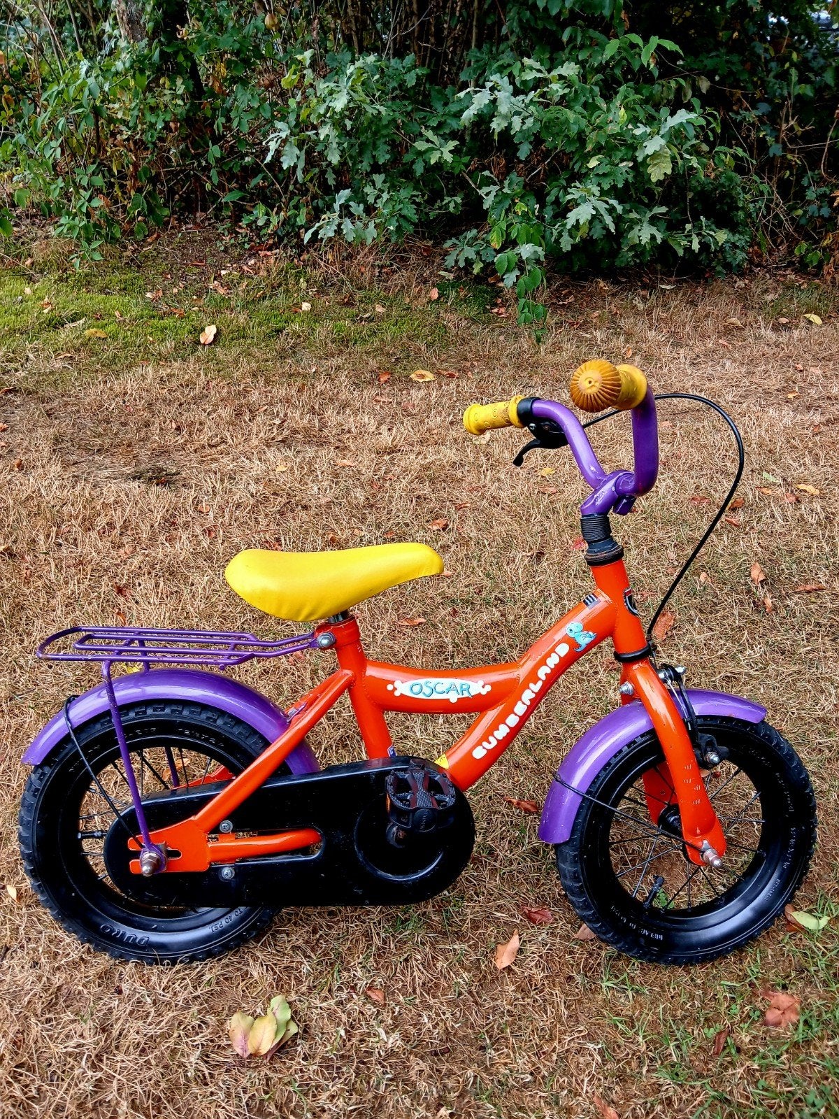 12 inch jongensfiets, Fietsen en Brommers, Fietsen | Jongens, Ophalen, Gebruikt, Velgrem, 14 inch of minder