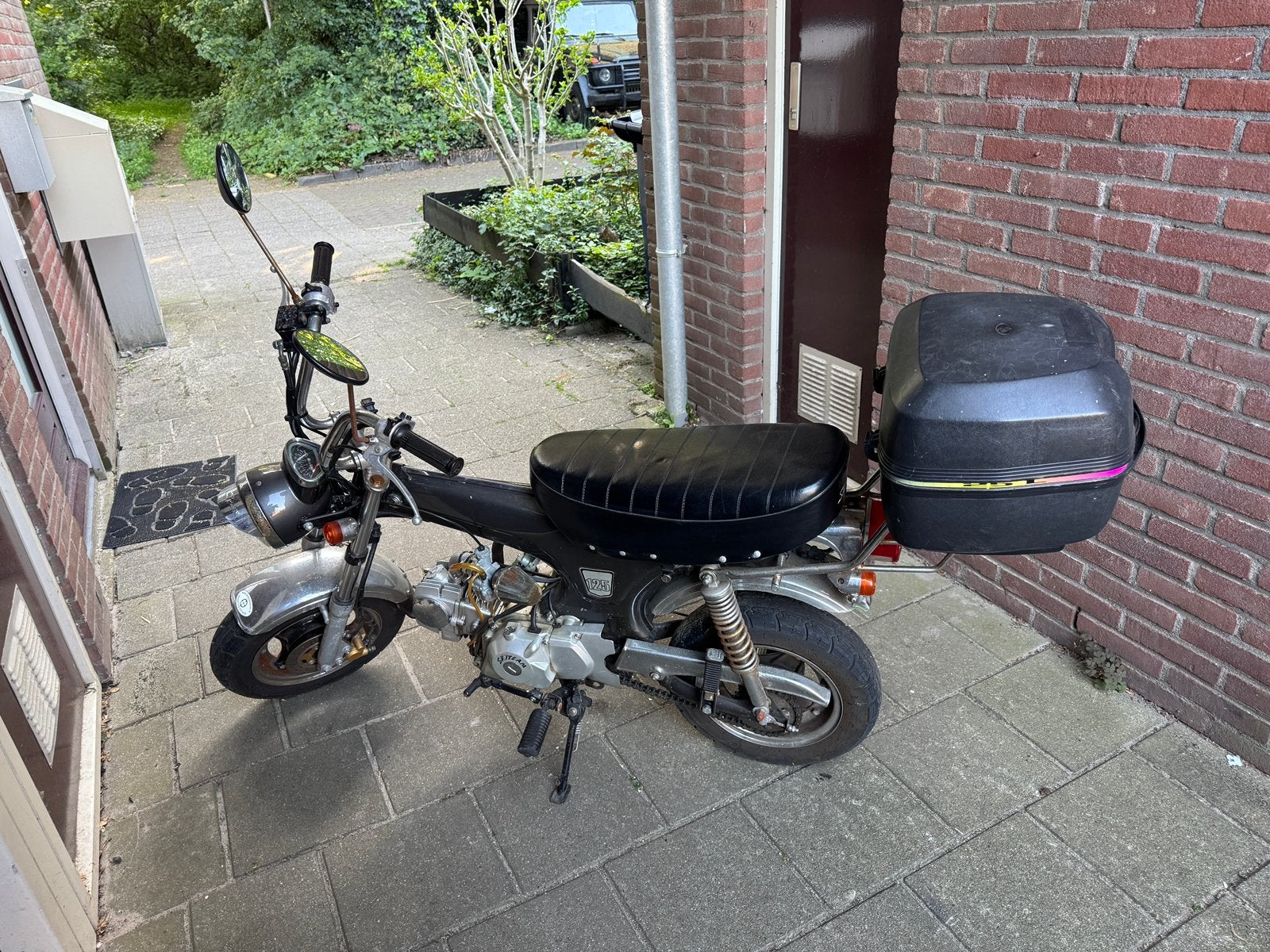 skyteam honda dax 125cc met kenteken