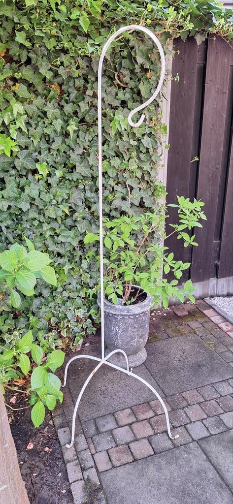 Leuke Lantaarn/Plantenstandaard/ 176 H., Ophalen