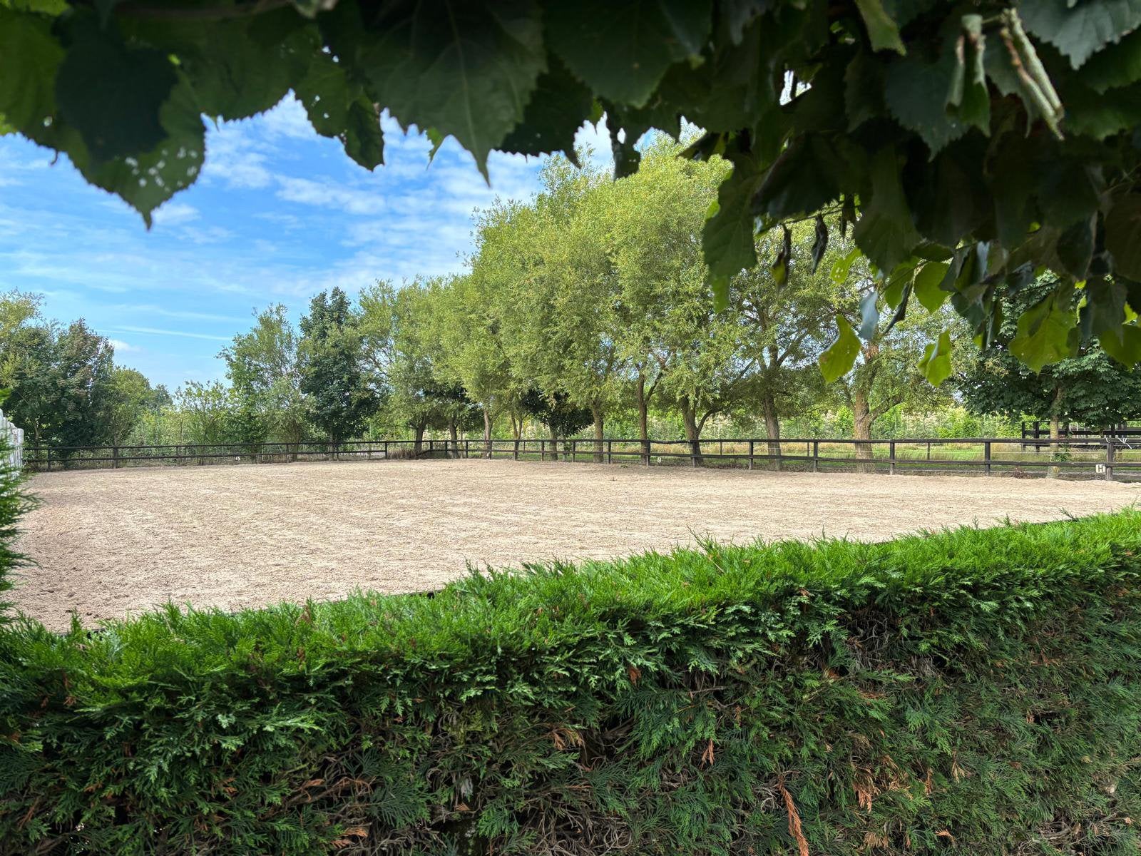 stalling en weidegang, Weidegang, 1 paard of pony