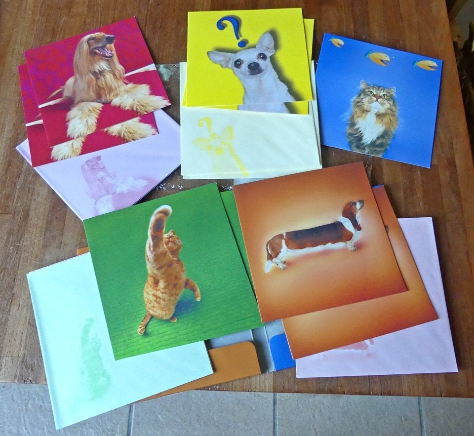 Honden katten ansichtkaarten hond kat kaarten wenskaart, Verzamelen, Ophalen of Verzenden, 1980 tot heden, Ongelopen, Hond of Kat