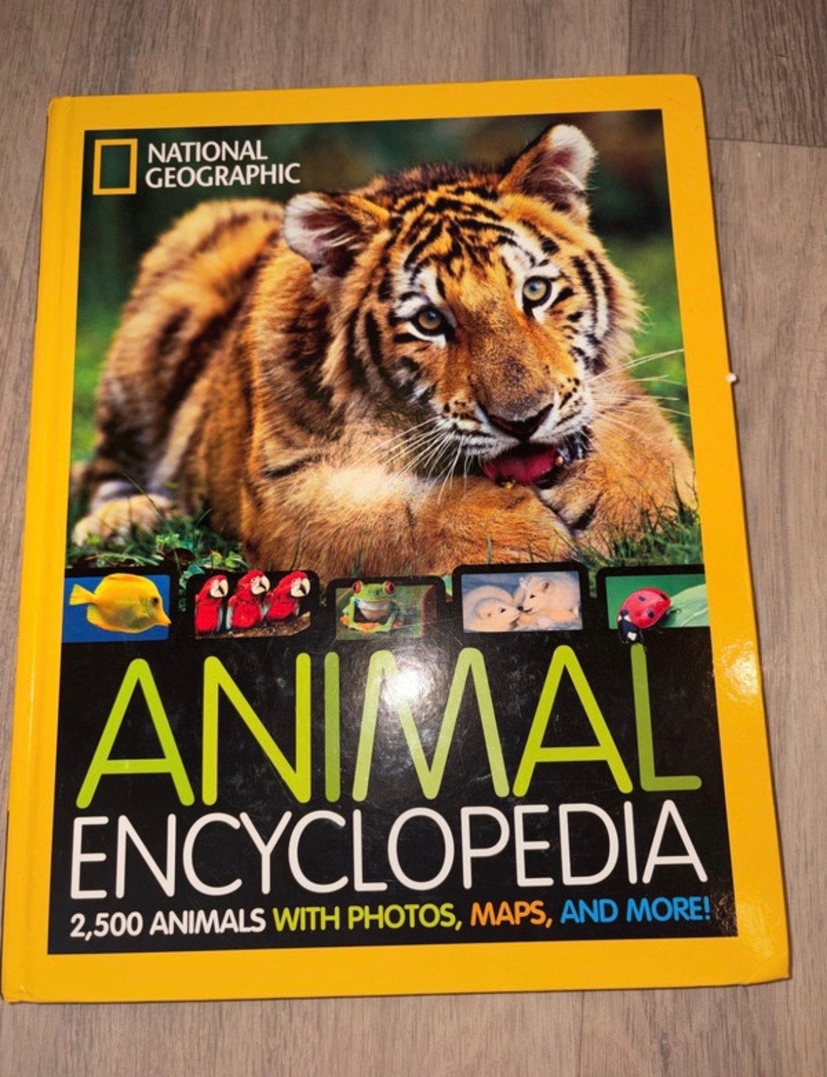 National Geographic Animal Encyclopedia - Dierenboek, Ophalen of Verzenden, Zo goed als nieuw, Dieren, Los deel