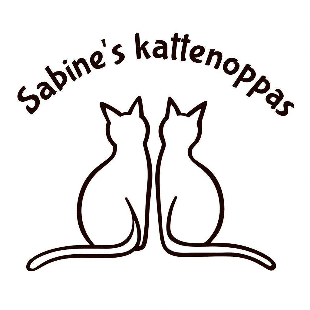 Kattenoppas aan huis Joure en Heerenveen e.o