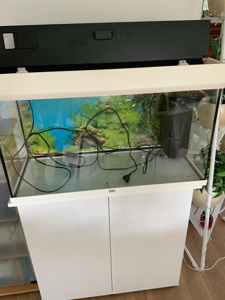 Aquarium/teraruim/hamsterbak, Ophalen of Verzenden, Leeg aquarium