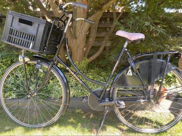 Mooie, goede omafiets (Pointer), Ophalen, Terugtraprem, 56 cm of meer, Gebruikt