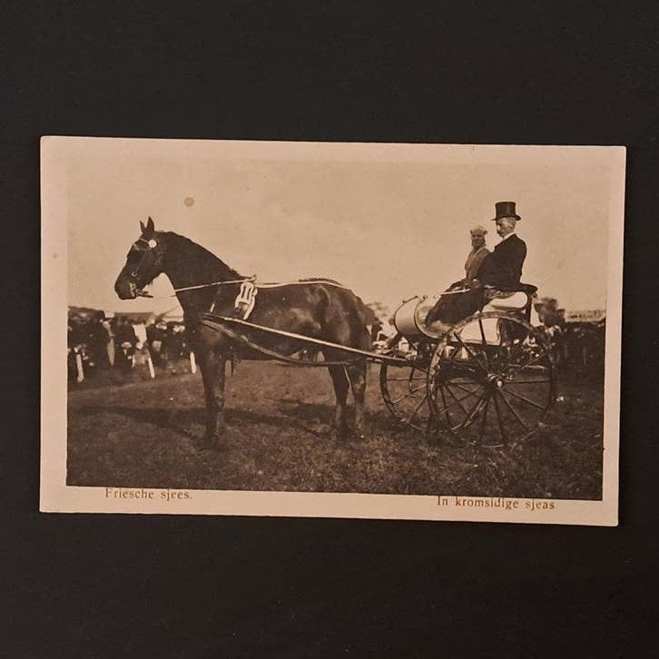 Friesland Friesche Sjees In kromsidige Sjeas 1915, Verzenden, Voor 1920, Gelopen, Friesland