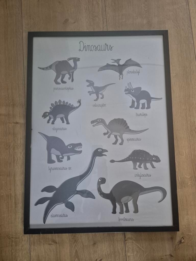 Dino Poster (70x50) - Inclusief Koker, exclusief lijst, Ophalen, Overige materialen, Gebruikt, 50 tot 75 cm