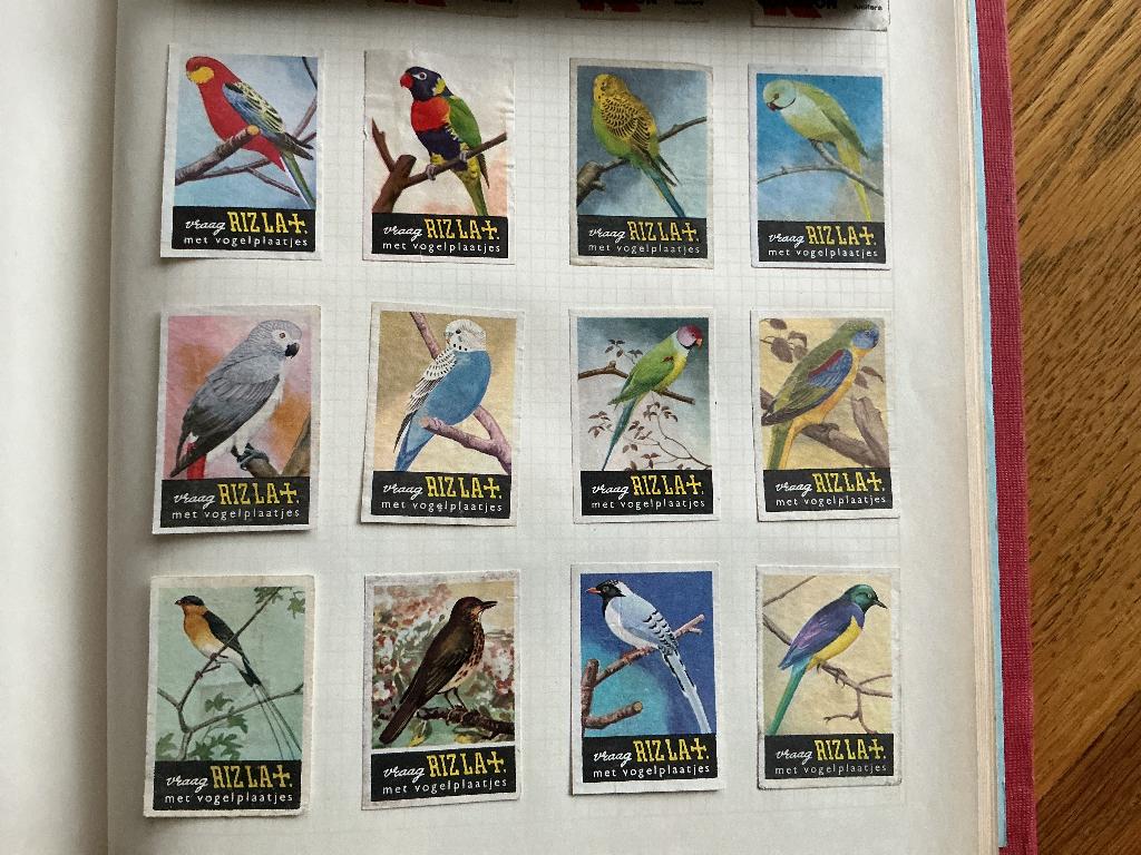 Lucifermerken Rizla + met vogel plaatjes, Ophalen of Verzenden, Gebruikt, Luciferdoosjes of -merken