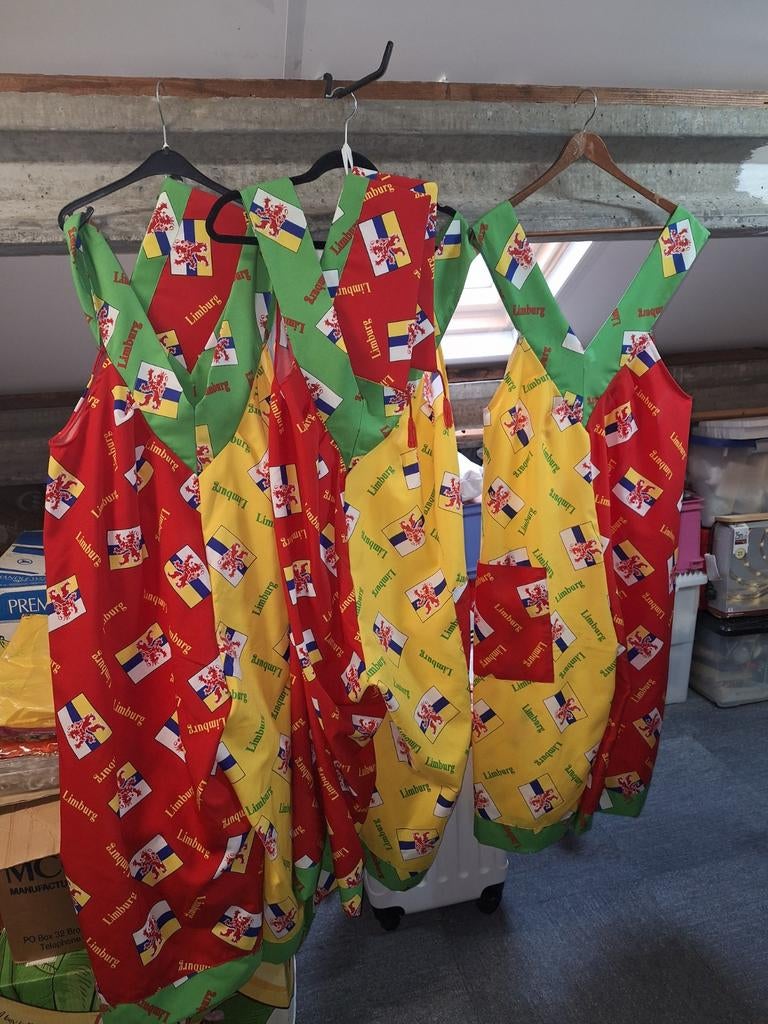 Karnaval, Ophalen of Verzenden, Zo goed als nieuw, Maat 46/48 (XL) of groter, Carnaval