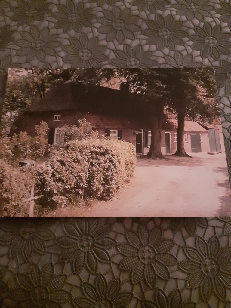 Boerderij Zandhoef  st oedenrode, Ophalen of Verzenden
