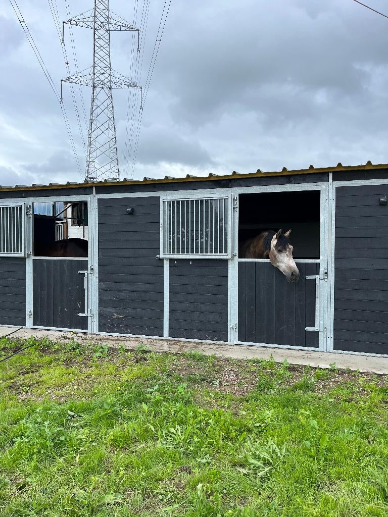 pensionstalling, stalling, weide, stal, Dieren en Toebehoren, Weidegang, 4 paarden of pony's of meer