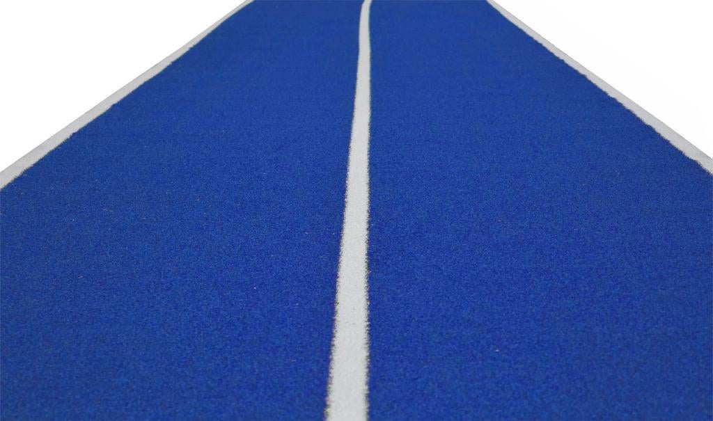 Blauwe Sprinttrack – 4,75 x 2 m, Sport en Fitness, Fitnessmaterialen, Ophalen, Benen, Stuntgras, 2404ce