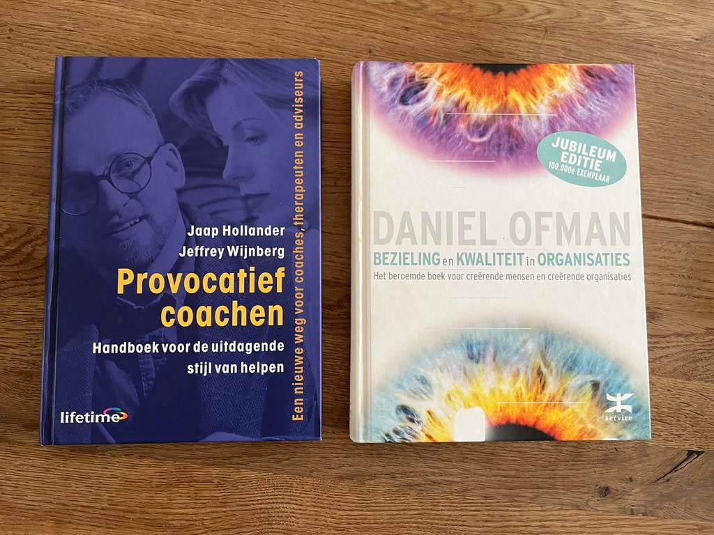 Daniel Ofman - Bezieling en kwaliteit in organisaties, Sociale wetenschap, Zo goed als nieuw, Daniel Ofman, Ophalen of Verzenden