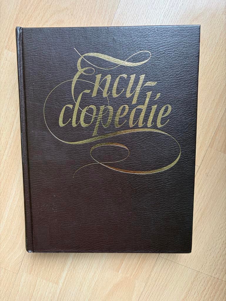 Moderne Nederlandse Encyclopedie - Tirion B.V. 1978, Boeken, Encyclopedieën, Gelezen, Ophalen of Verzenden, Los deel, Algemeen