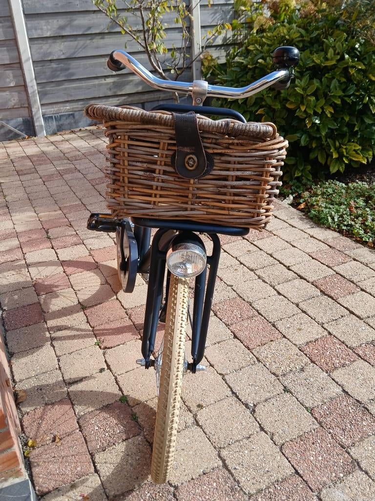 Loekie Pick-Up 20 inch kinderfiets met mand, Fietsen en Brommers, Fietsen | Kinderfietsjes, Ophalen, Gebruikt, Loekie, Terugtraprem