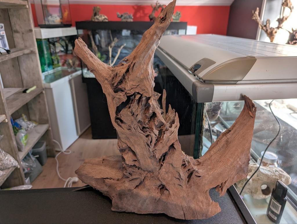 🐠Groot stuk kienhout aquarium te koop,hout stuk, Ophalen, Nieuw, Plant(en), Steen of Hout