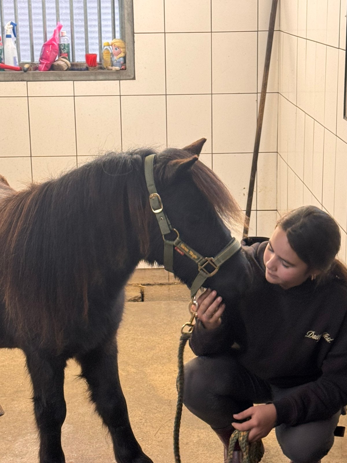 🩷Prachtige bijna 3 jarige merrie🩷, Merrie, Met stamboom, A pony (tot 1.17m), 3 tot 6 jaar